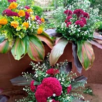 482127877_607483995527008_3711633159461615588_n